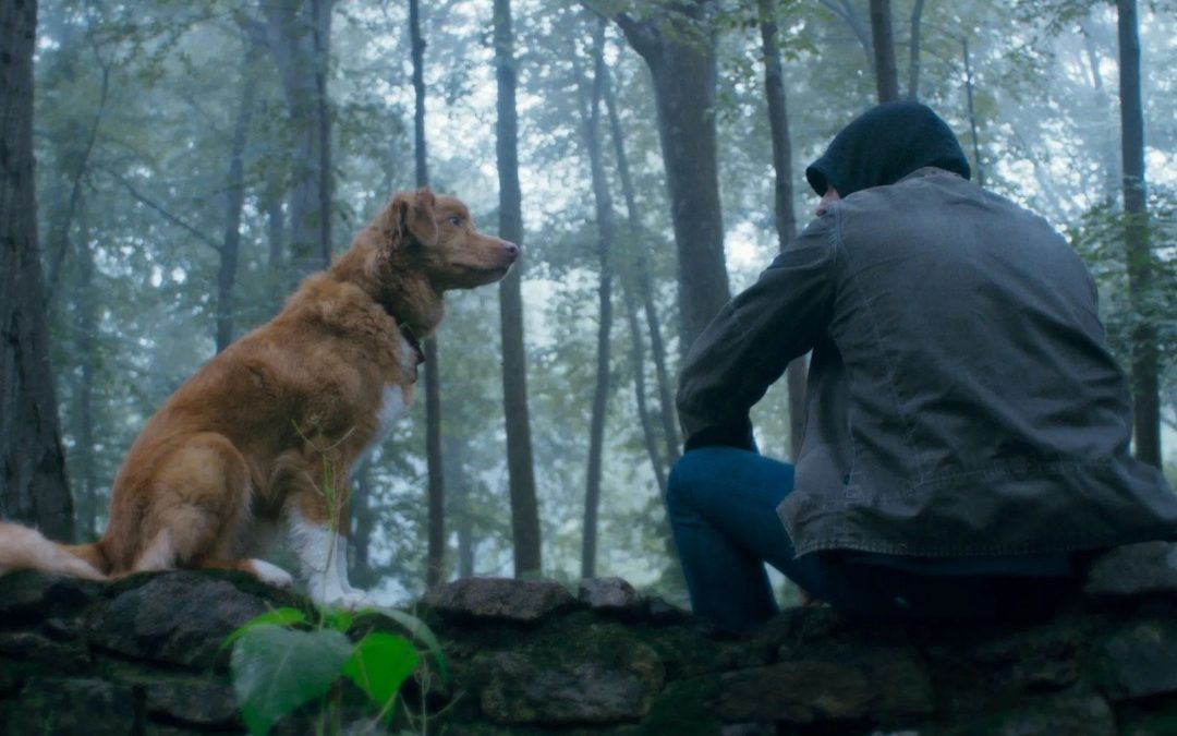 Good Boy (dir. Ben Leonberg)