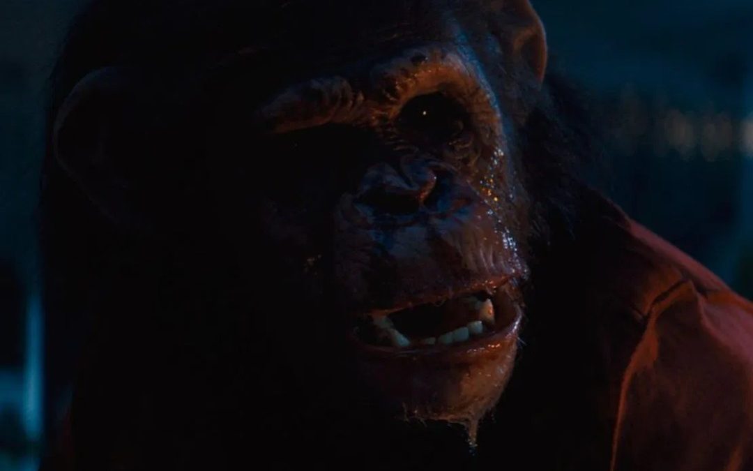 Primate (dir. Johannes Roberts)