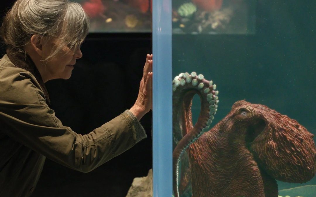 Remarkably Bright Creatures (dir. Olivia Newman)