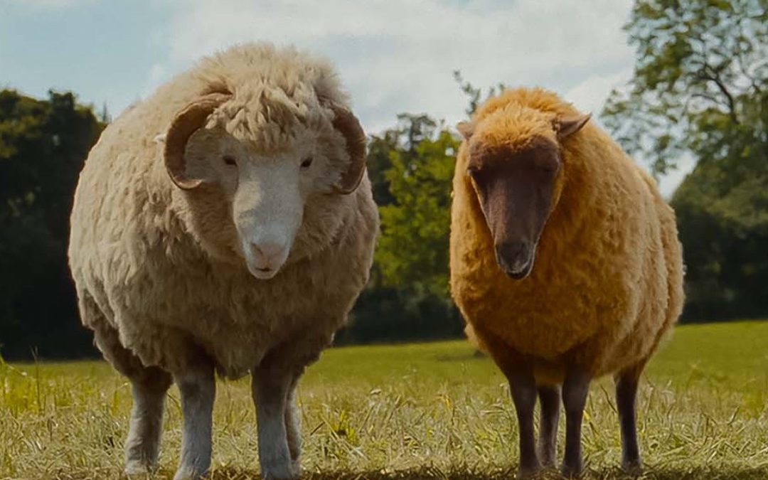 The Sheep Detectives (dir. Kyle Balda)